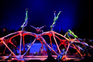 cirque-du